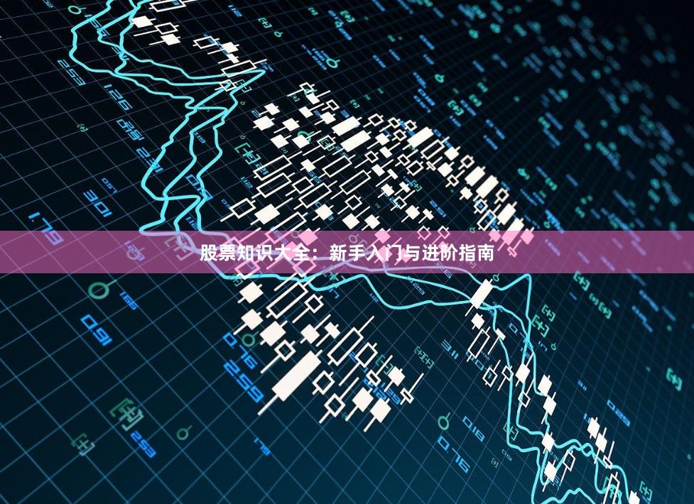 股票知识大全：新手入门与进阶指南